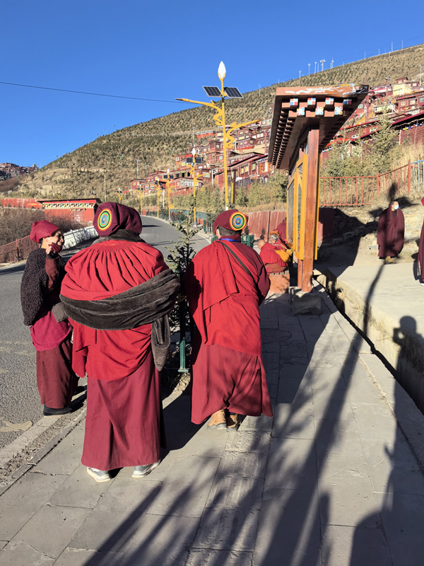 Chengdu a Nyingchi a Lhasa a Luhuo a se llega a Daocheng Adén en coche compartido